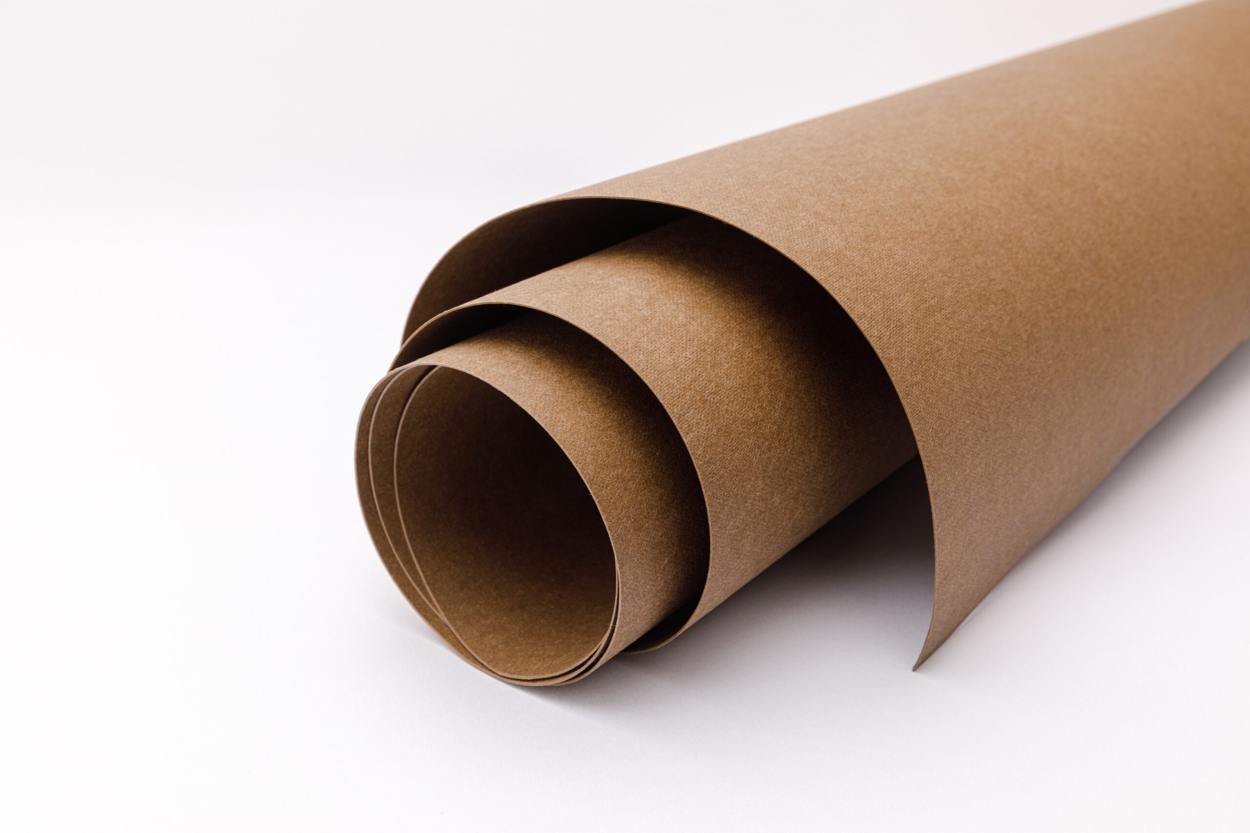 What is Washable Paper?
